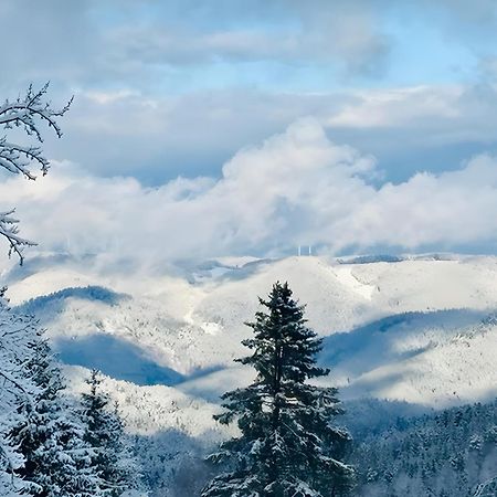 Schwarzwald Nescht Triberg Apartment Triberg im Schwarzwald Екстериор снимка
