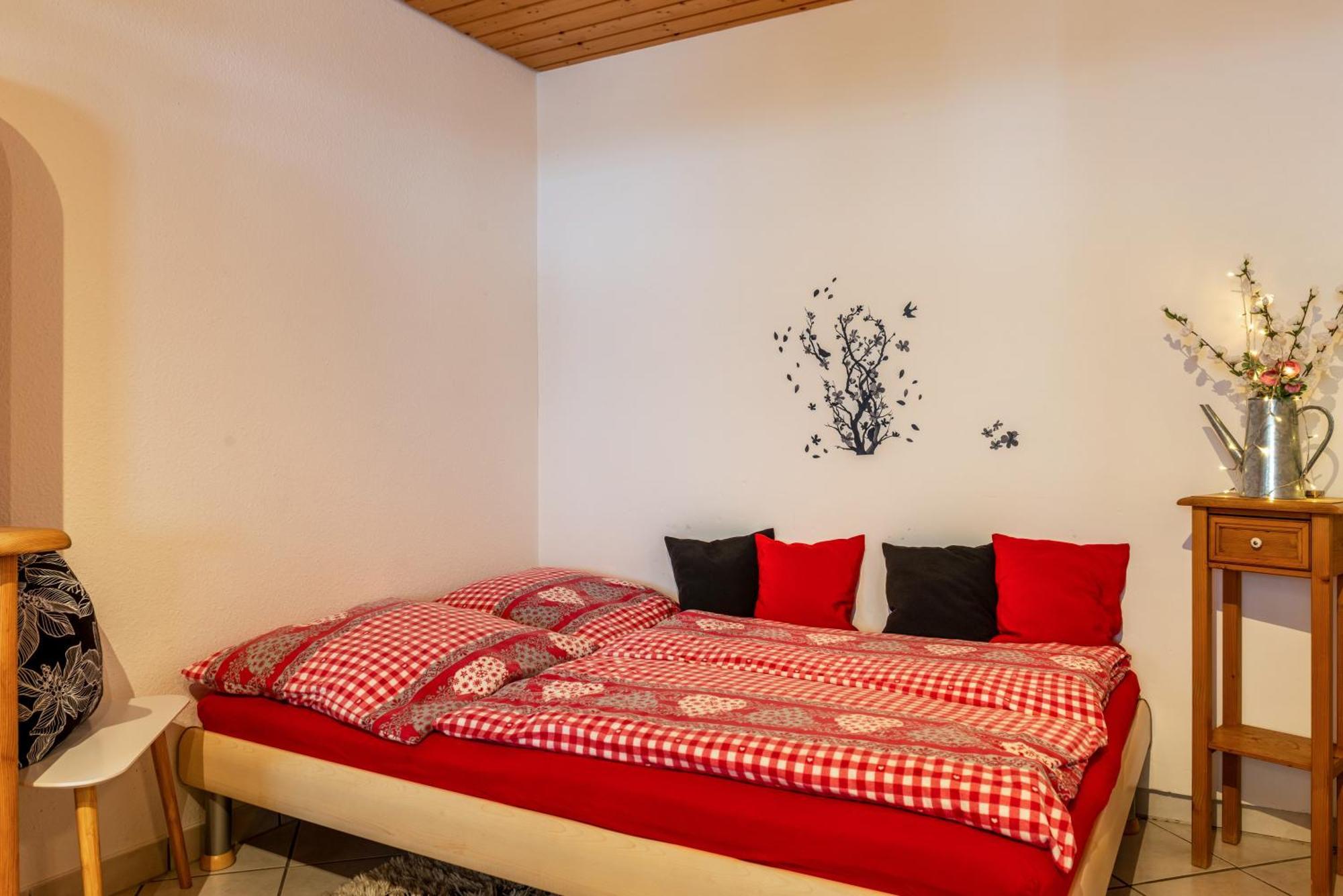 Schwarzwald Nescht Triberg Apartment Triberg im Schwarzwald Екстериор снимка