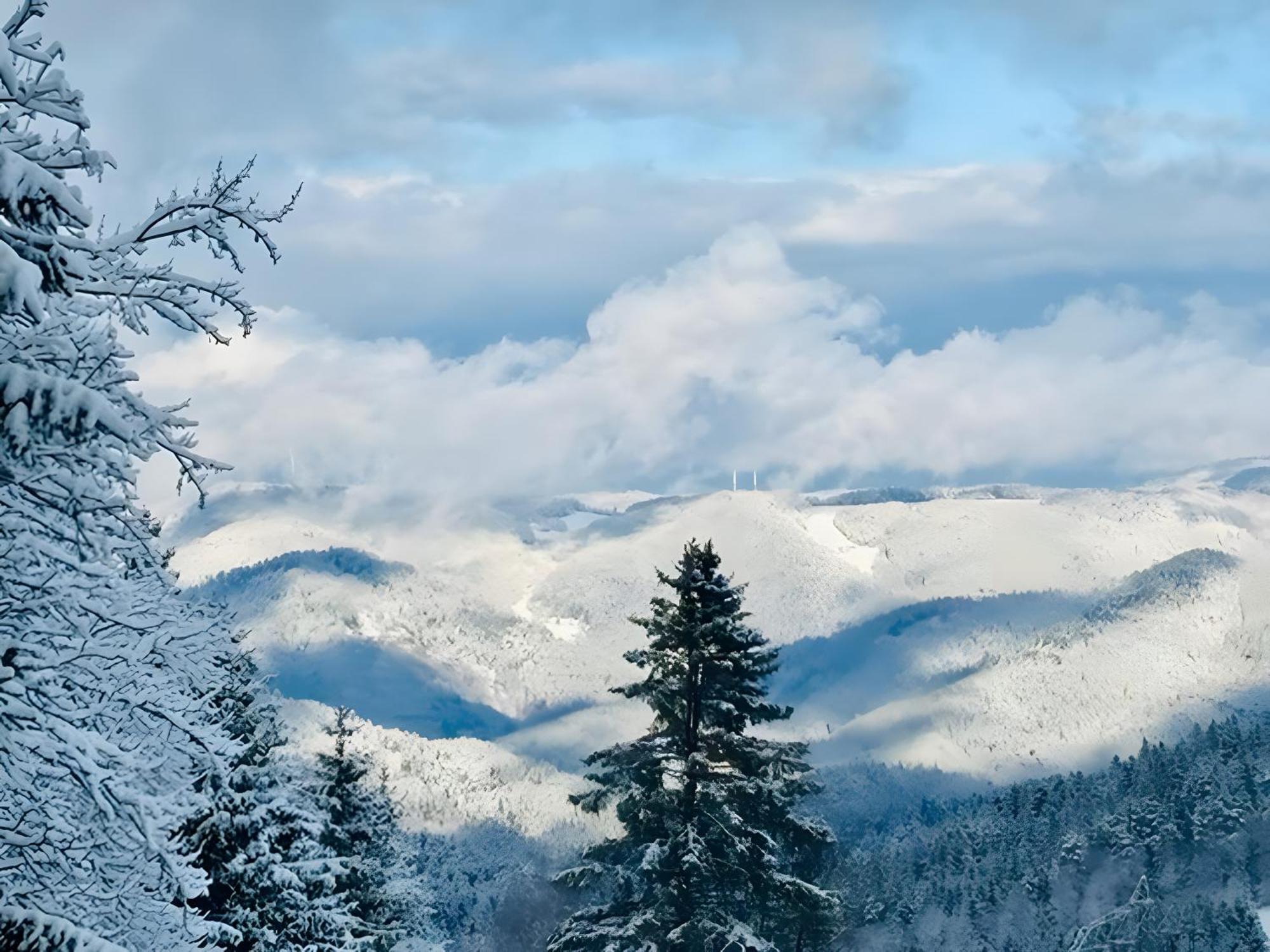 Schwarzwald Nescht Triberg Apartment Triberg im Schwarzwald Екстериор снимка